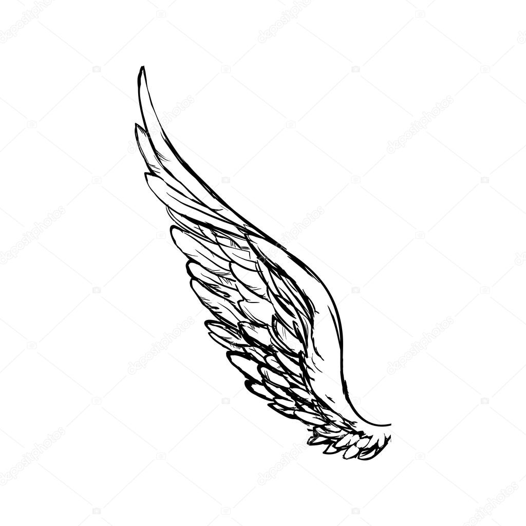 1024x1024 Wing Feather Animal Bird Angel Icon. Vector Graphic Stock Vector