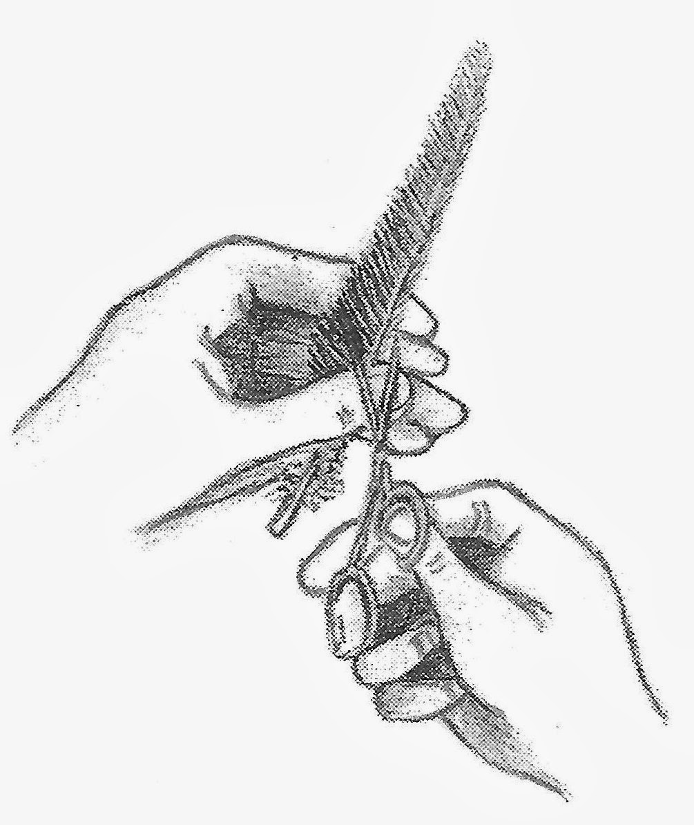 1005x1194 Fly Fishing With Doug Stewart Cutting And Matching Feather Wings