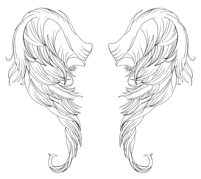 Feather Wings Drawing at GetDrawings | Free download