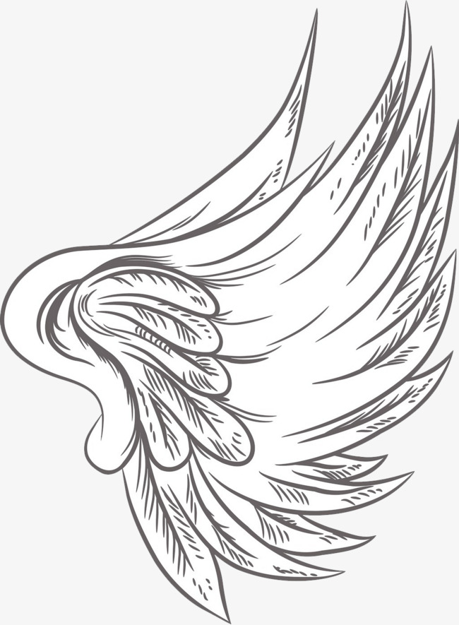 650x885 Single Feather Wings, Feather, Wing, Angel Png Image For Free Download