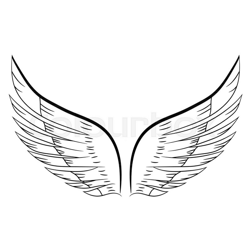 800x800 Sketch Of A Pair Of White Wings. Vector Illustration. Hand Drawing