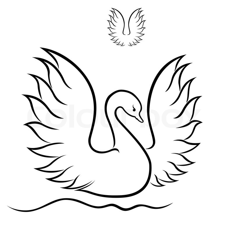 800x800 Swan With Raised Wings Floating On The Water, Vector Outline