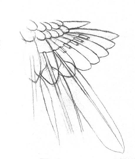 459x542 When And How To Clip A Weaning Baby