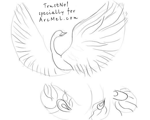 520x416 How To Draw Phoenix Step By Step