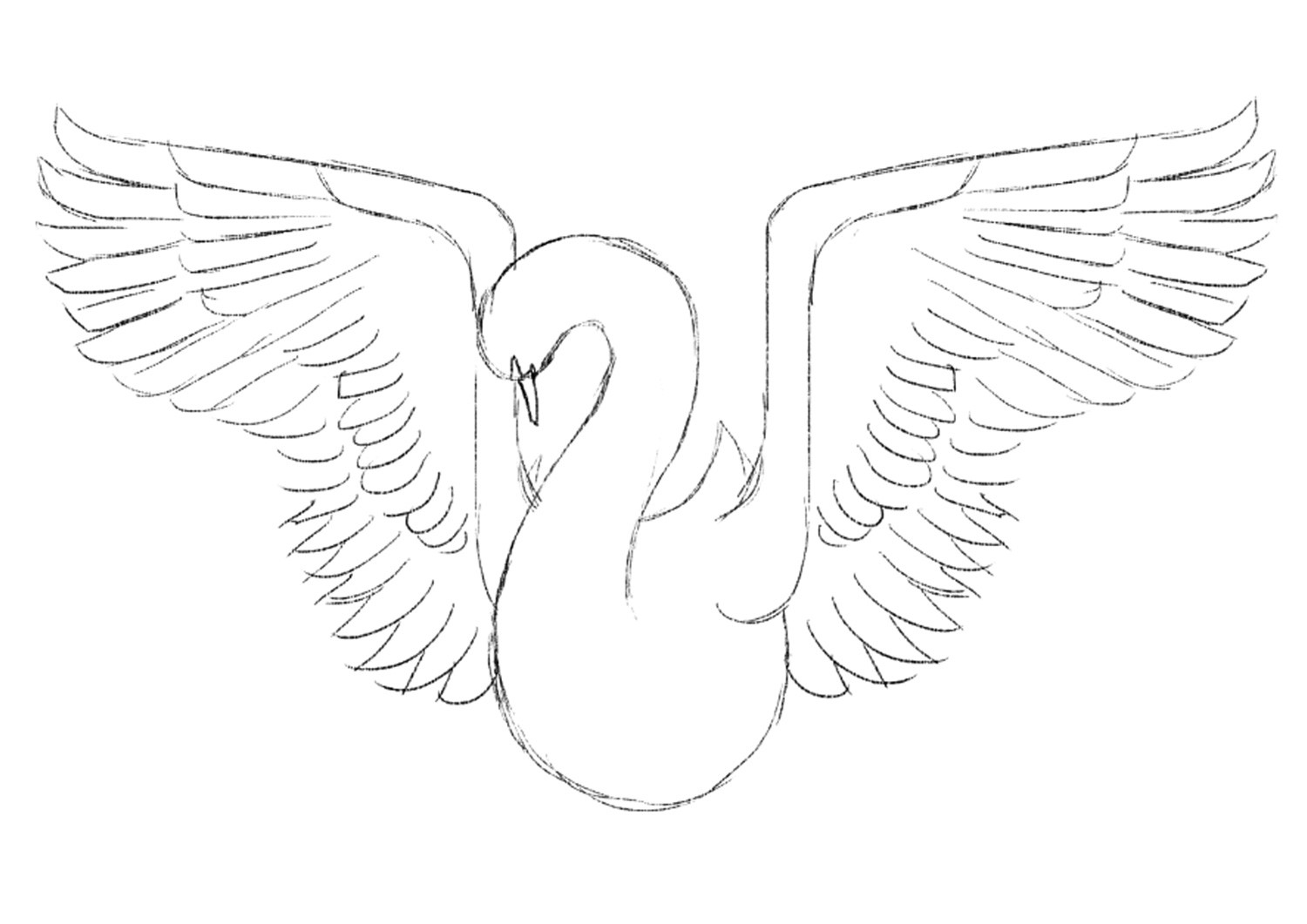 1500x1061 Photoshop Tutorial Create A Beautiful Bird Illustration