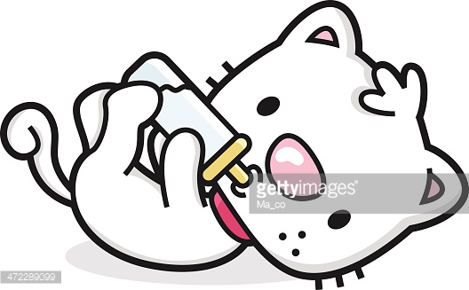 528x327 Vector Illustration Of A Kitten Drinking Milk From A Baby Bottle