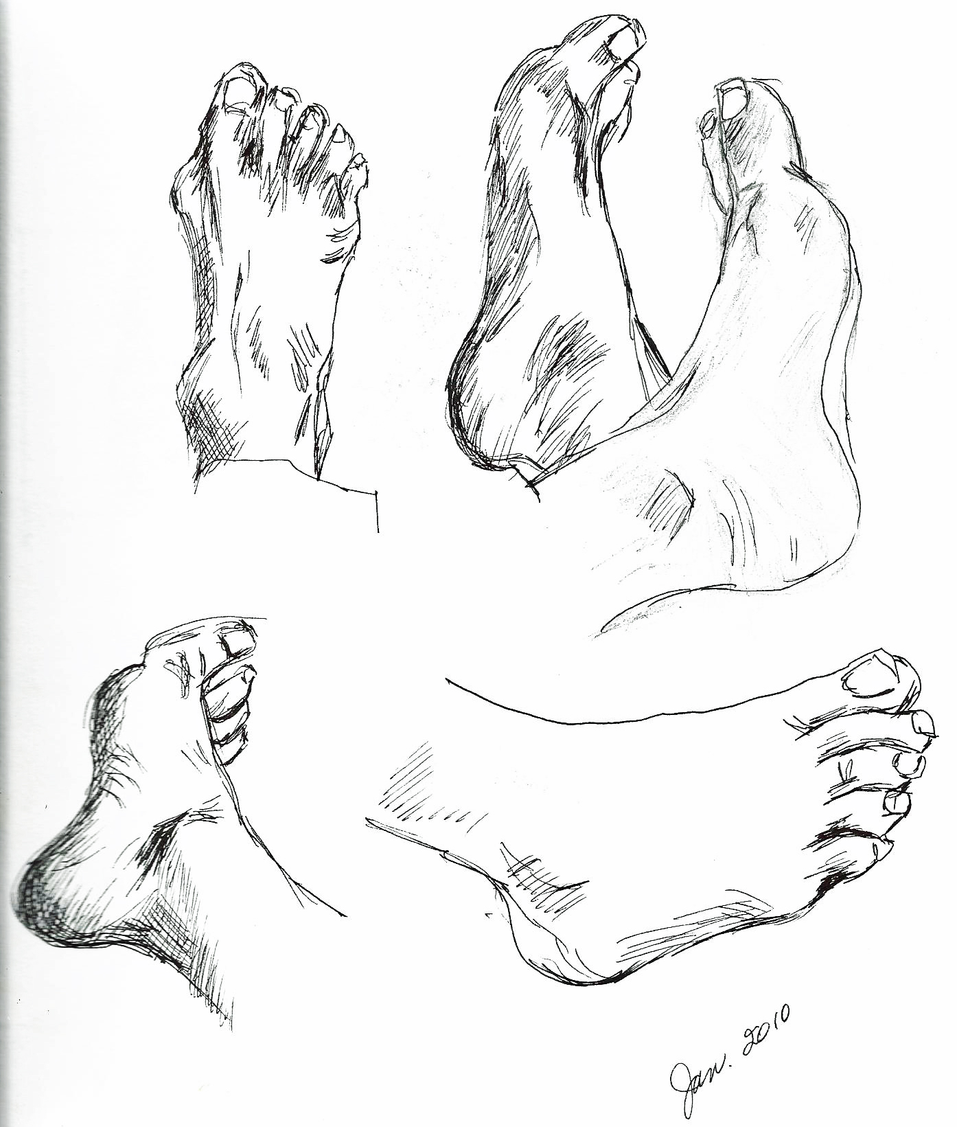 1394x1641 Hands And Feet Stafford Artworks