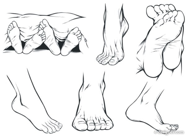 600x443 4 Designer Sketch Feet Vector Material