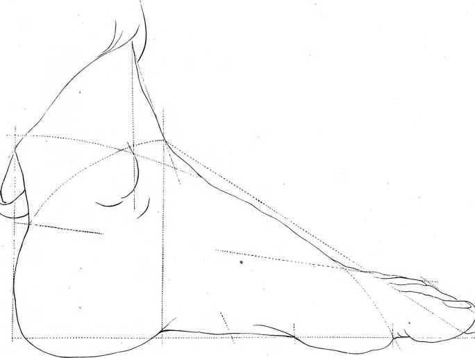 684x515 Rudiments Of Drawingthe Human Figure