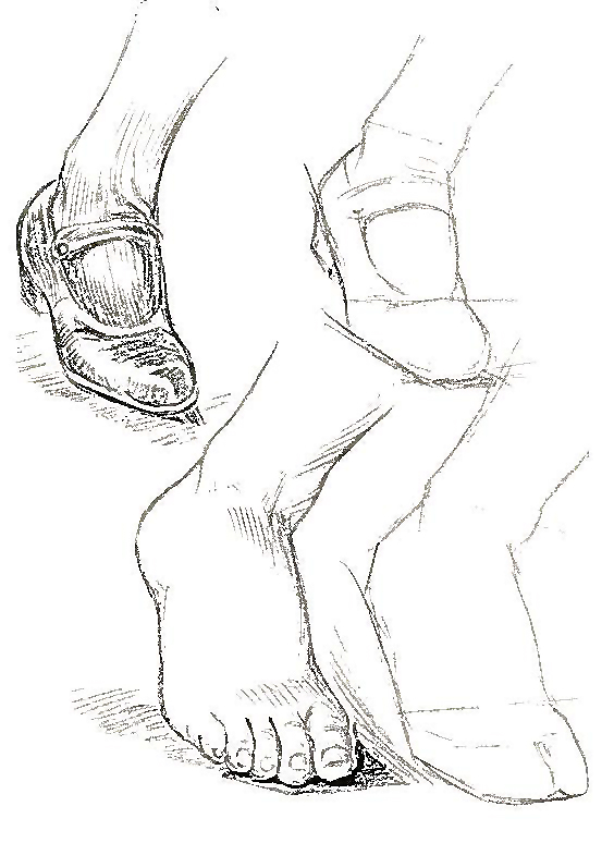 564x774 How To Draw Feet And Toes With Human Foot Drawing Lessons