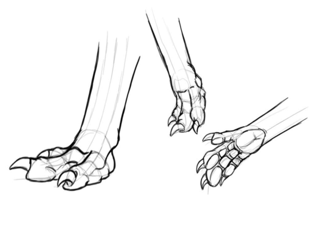 1024x762 Tutorial On Drawing Dragons Dragon Roleplay Amino! Amino