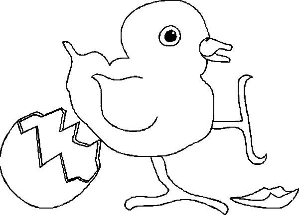 600x433 Photo Of Chicken Feet