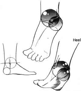 267x300 Drawing Hands And Feet