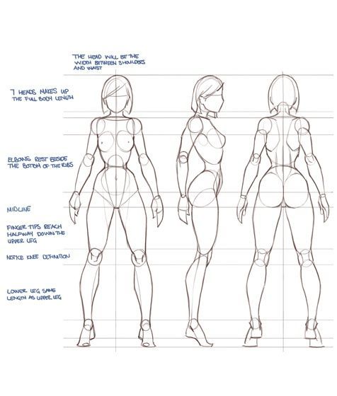 476x560 Enjoy A Collection Of References For Character Design Female