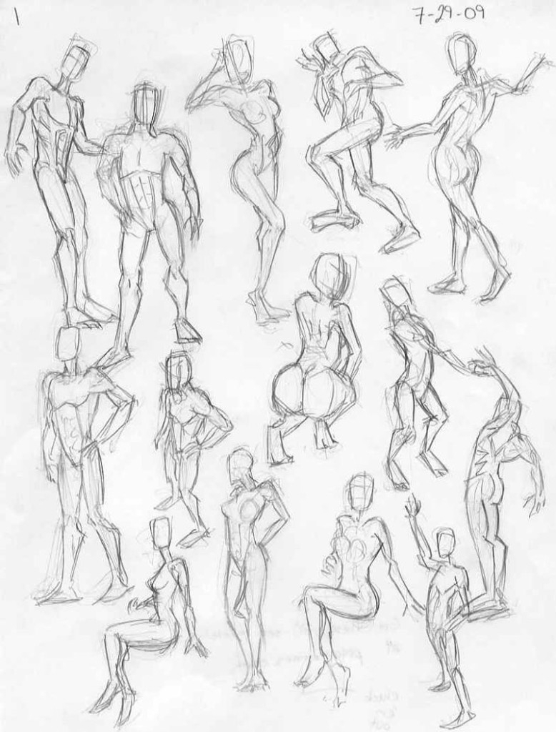 778x1024 Female Body Anatomy Drawing