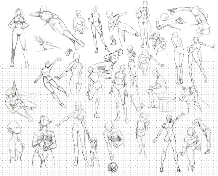 736x597 Gallery Manga Female Anatomy,