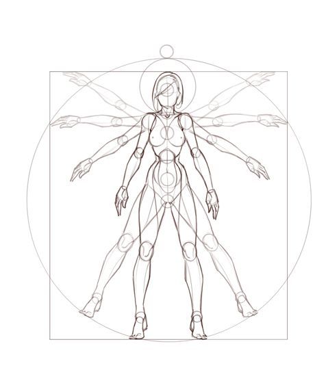 476x560 422 Best Anatomia Images