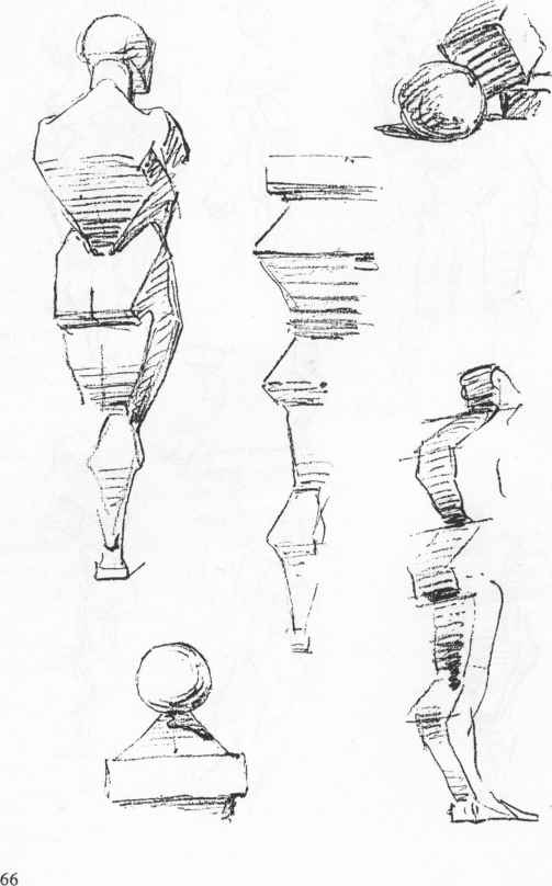 503x808 Anatomy Artist Landmarks