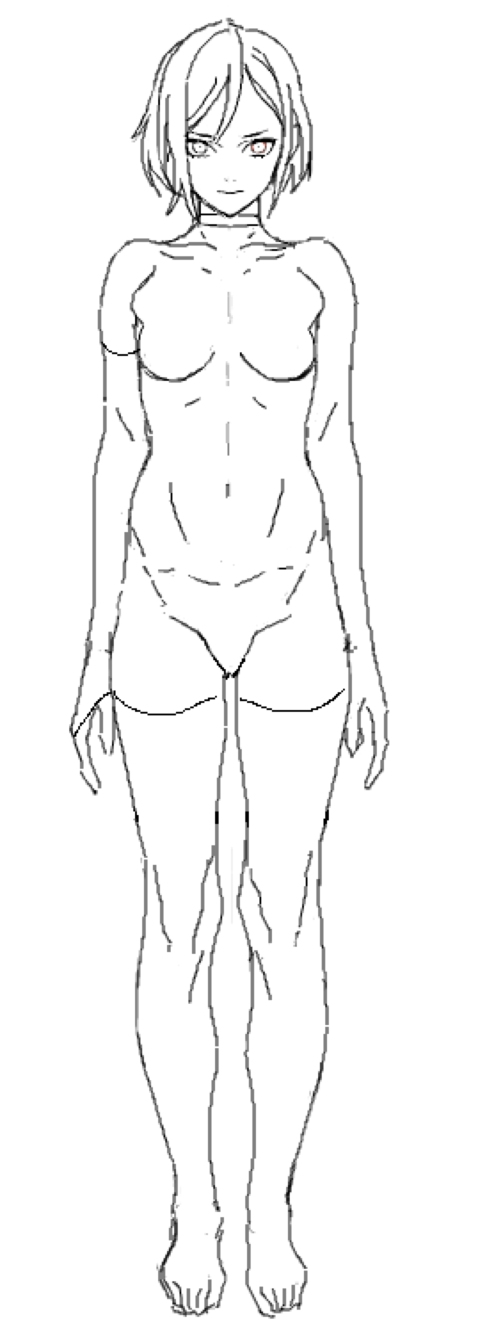 566x1506 Average Female Figure Reference Dessin Anatomy