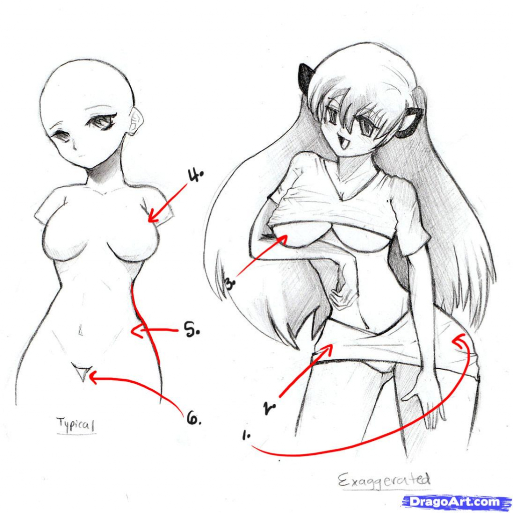 1024x1024 Anime Female Body Sketch Female Body Template~faithtale
