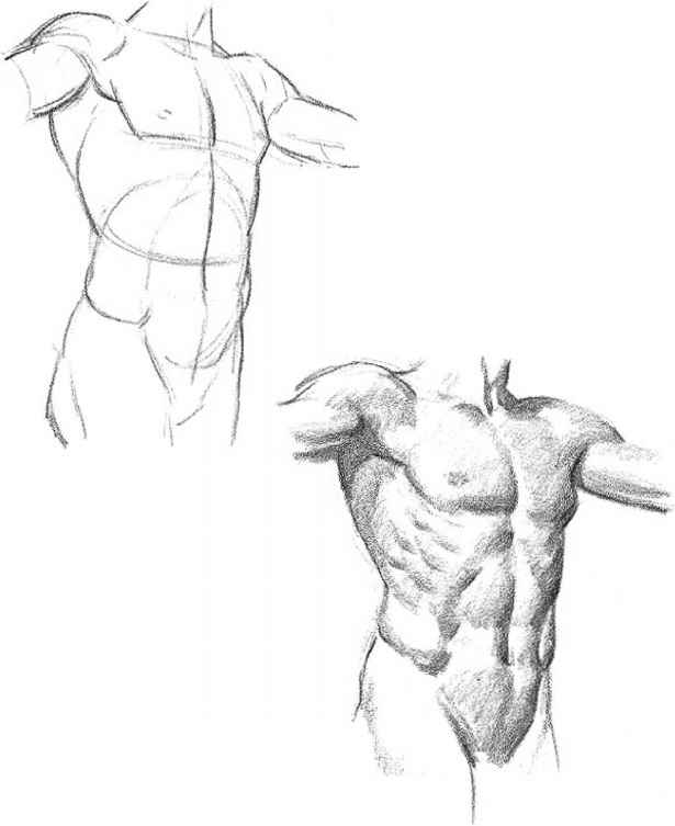 615x753 Successful D