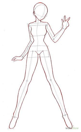 339x550 Photos Body Base Drawing,