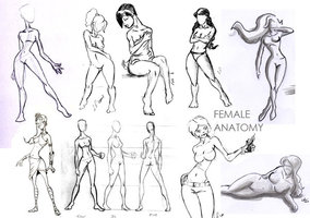 284x200 Female Poses Chart By Aomori On Art Designs