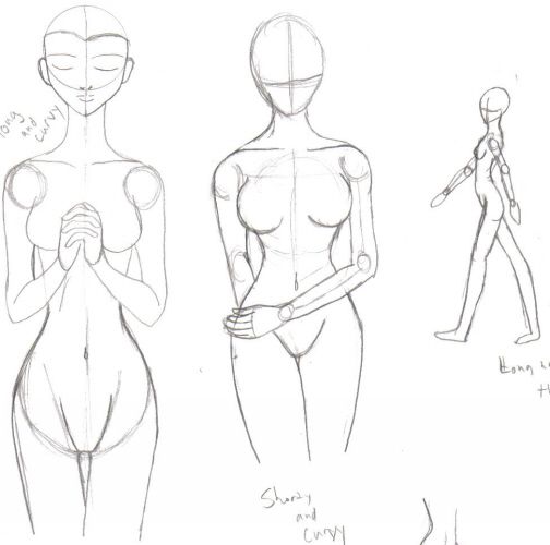 504x500 Drawn Women Body