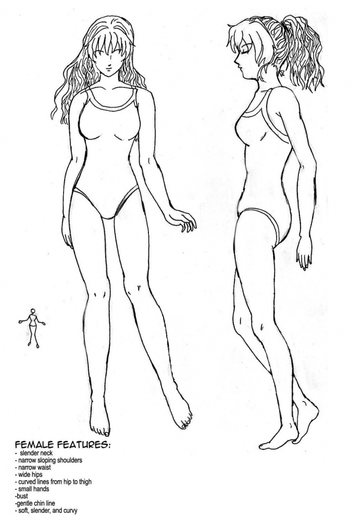 717x1024 Anime Female Body Sketch Female Body Tutorialtsunamia