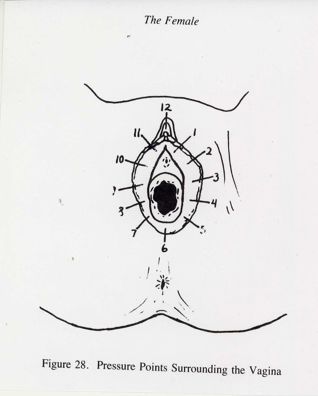 1226x1527 Instructions For The Woman's Deer Exercise Ingsights's Blog