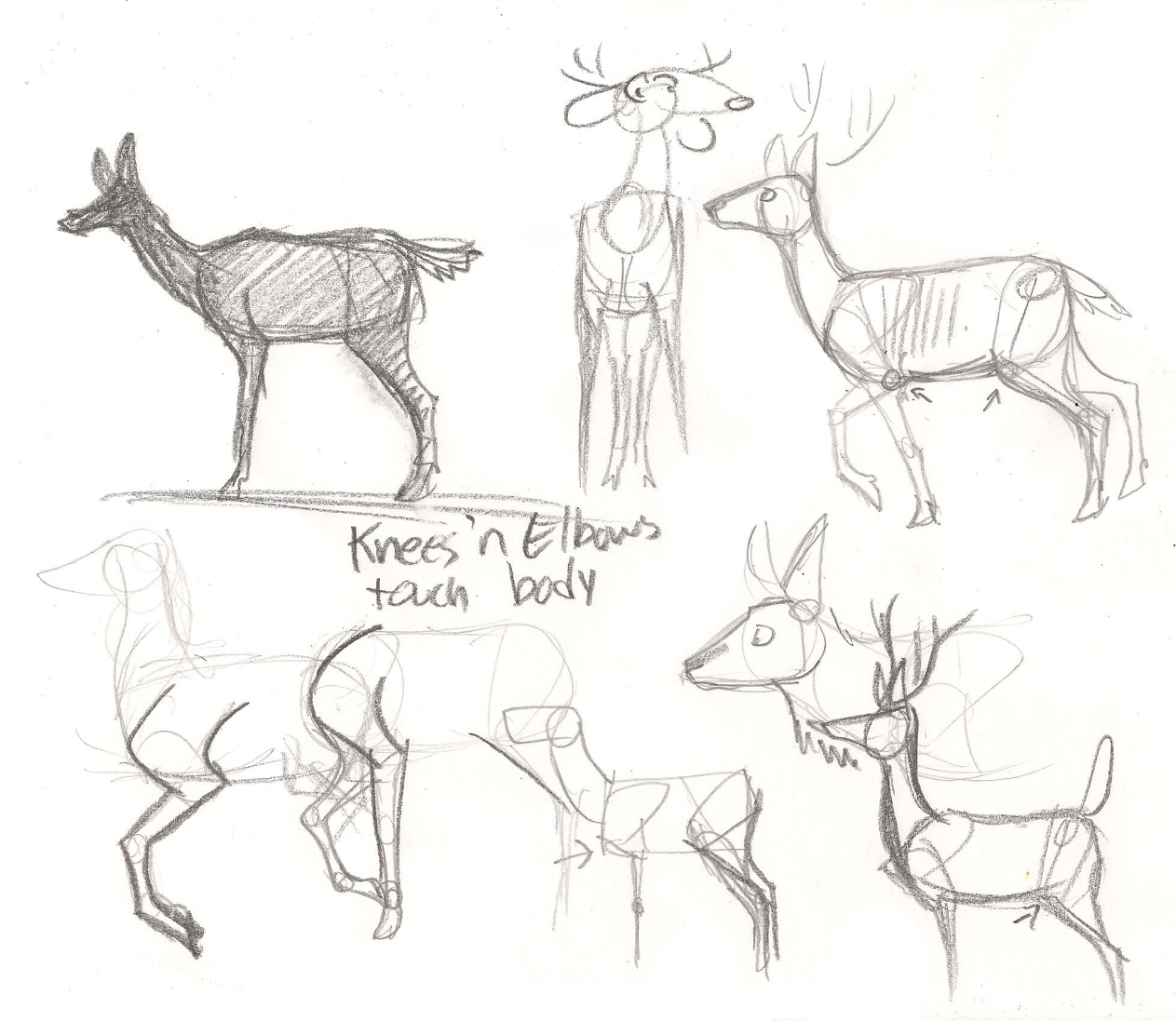 1263x1097 Terrible Deer Legs Tutorial By Wolfy T