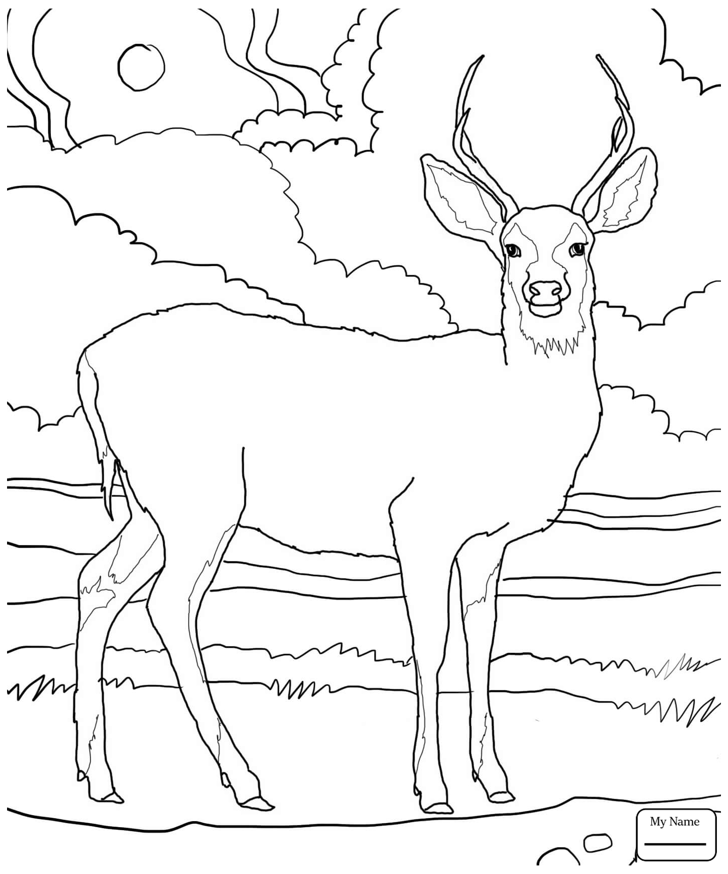 Female Deer Drawing at GetDrawings | Free download