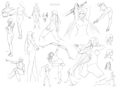 400x300 Female Anatomy3 By Precia T