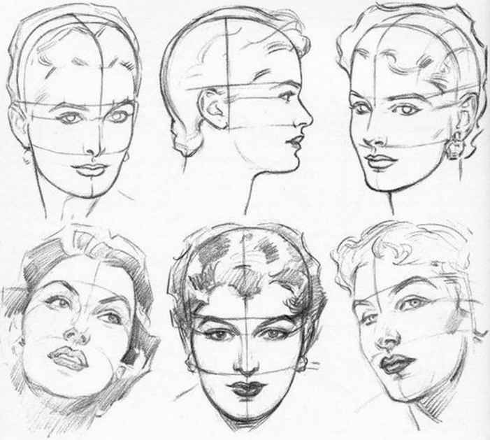 701x629 Plate Constructing The Female Head