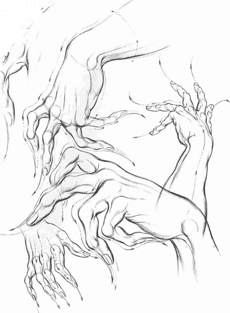 736x1000 Drawn Hand Gesture Hogarth