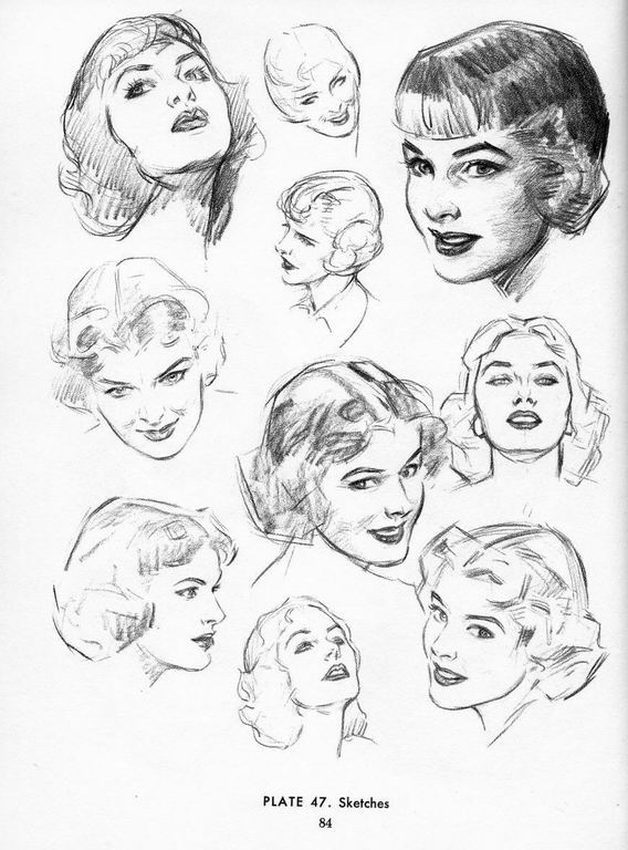 568x768 Can An Illustrator Really Have Enough Reference Images Sketches