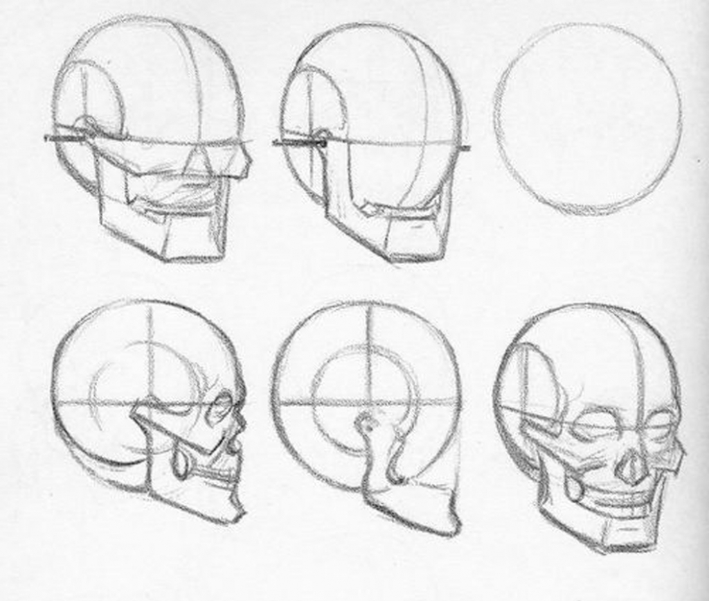 1024x867 Side Face Technique Drawing Learn Manga How To Draw The Female