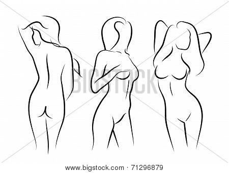 450x341 Illustrations Vector Women Naked Vector Amp Photo Bigstock