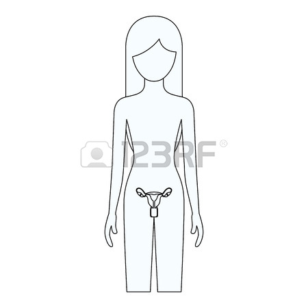 450x450 Sketch Silhouette Of Female Person With Reproductive System Human