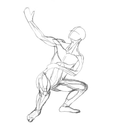 500x550 Drawing Of Human Muscle Image Picture Pkti