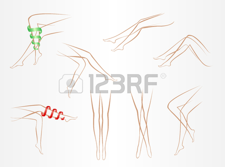 450x334 Contours Of Healthy Shapely Female Legs In Various Poses On