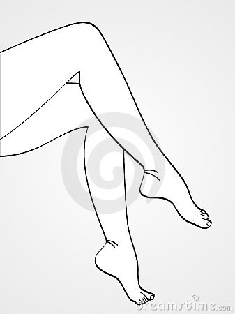 337x450 Calf Leg Clipart
