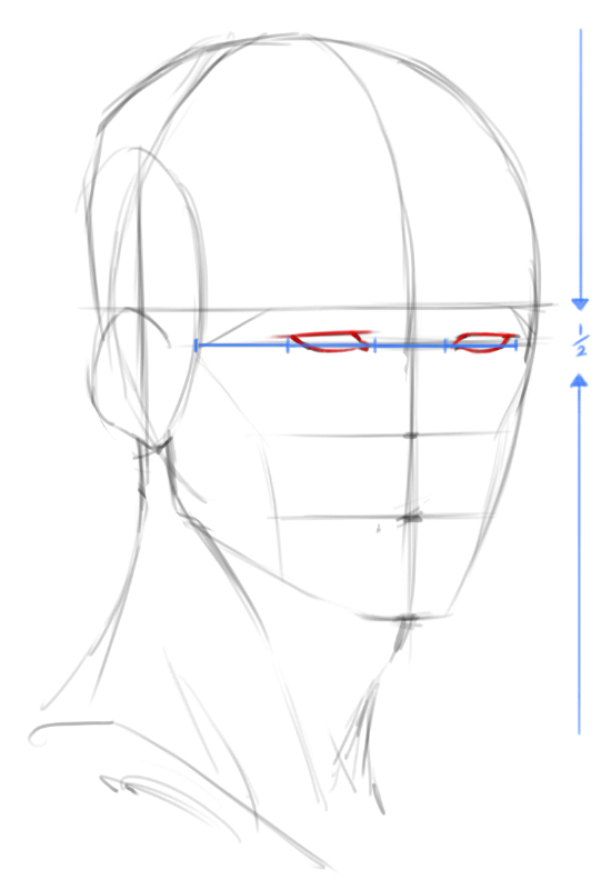550x800 How To Draw Heads 34 Angle