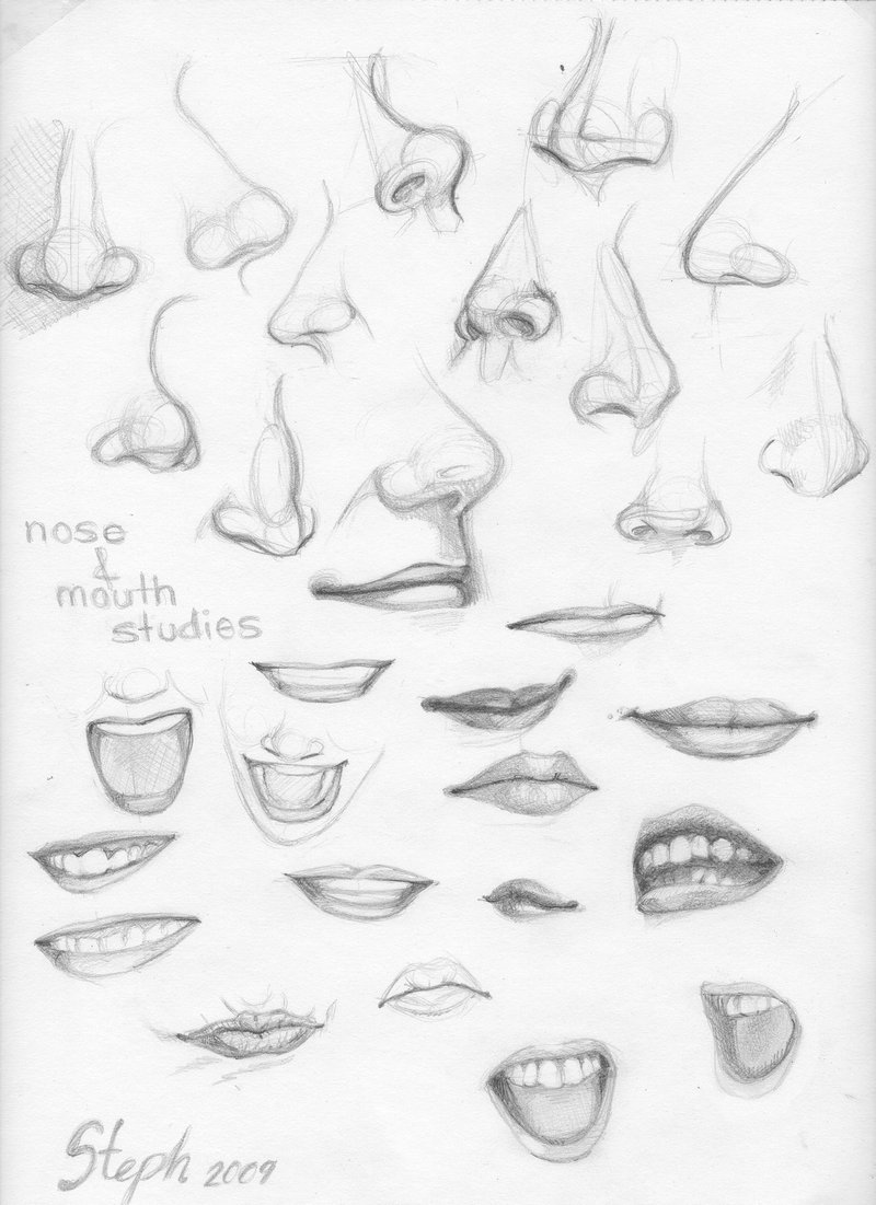 800x1101 Nose And Mouth Studies By Tigre Lys
