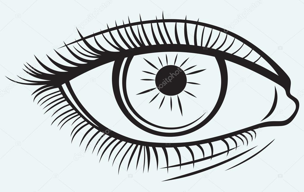 1023x646 Silhouette Of A Female Eye Stock Vector Kreativ