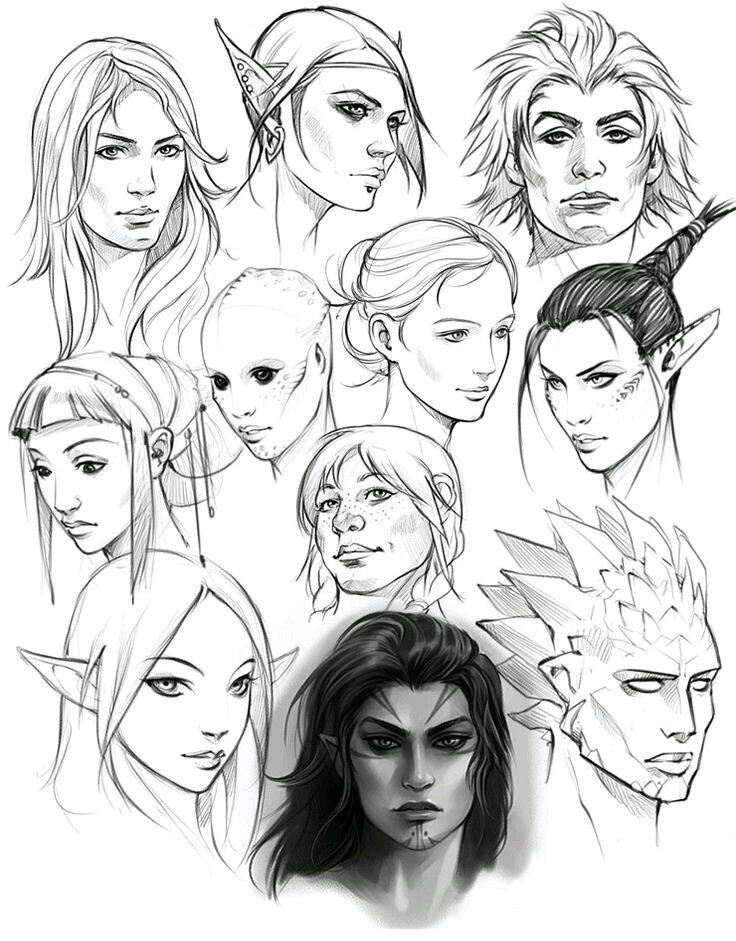 736x941 Pin By Tony Becktell On References Anatomical