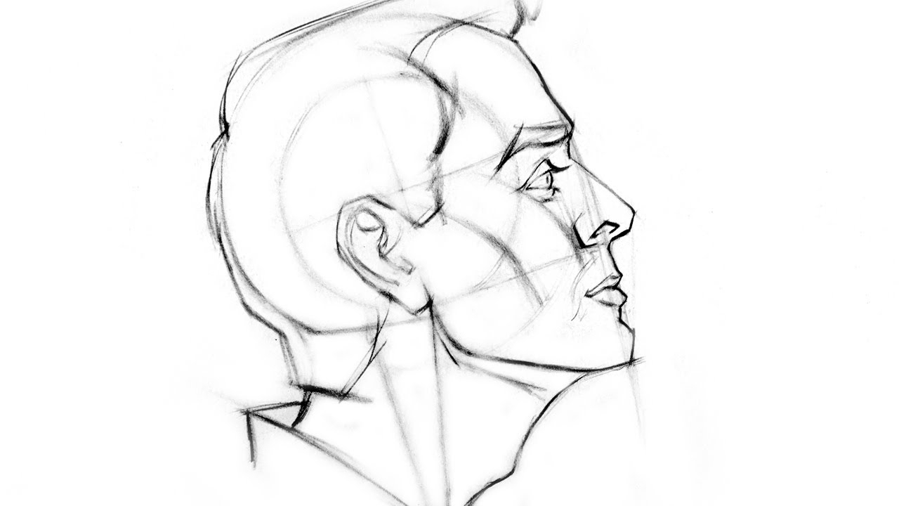 1280x720 Drawing Face Profile Looking Up Female Profile By Heartacid