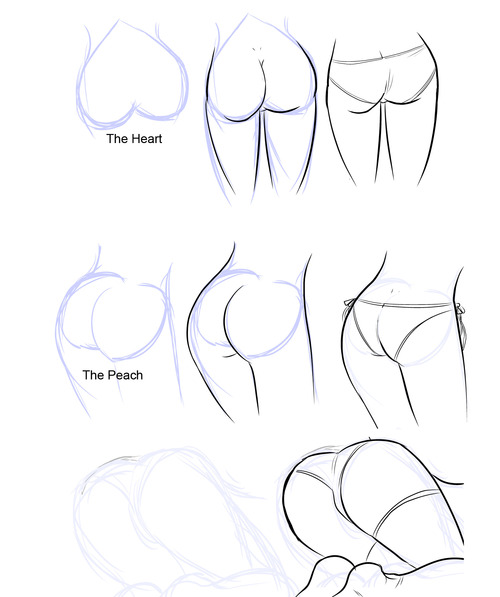 500x597 To Draw A Woman Ass And Butt 3