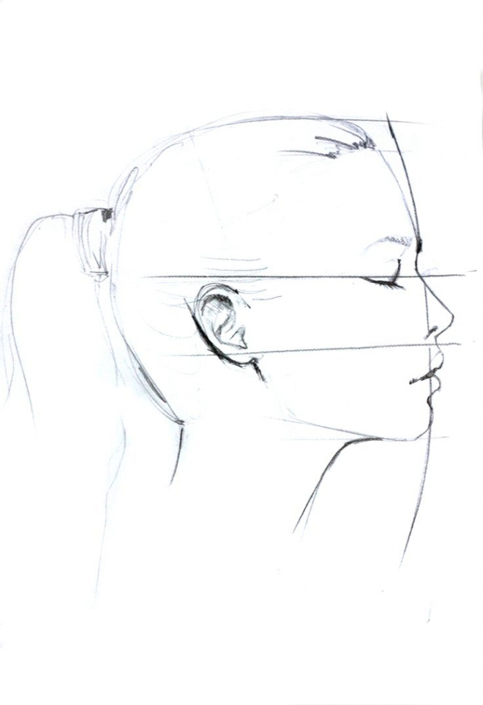 701x1024 Face Profile Drawing