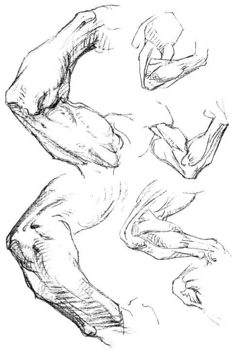 Female Skeleton Drawing